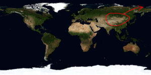 Auf einer Weltkarte ist China umkreist und ein Pfeil zeigt nach oben rechts